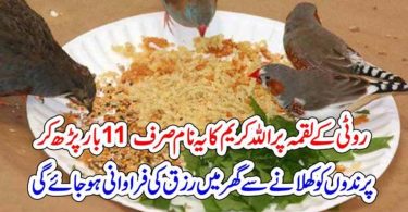 پرندوں کو کھلانے